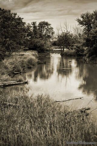 Whispering Waters of the Forgotten River 🌊🌿