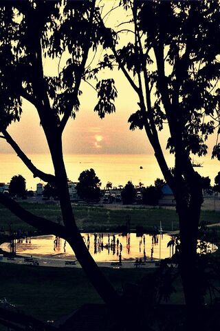 Between The Trees