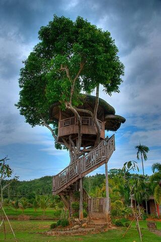 Tree House