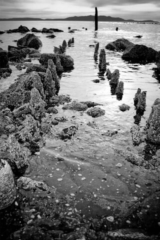 Irvine's Hidden Shores: A Glimpse into Nature's Artistry