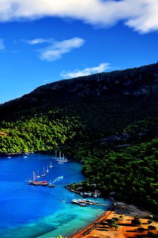 Heavenly Shores of Paradise Island 🌴🌊