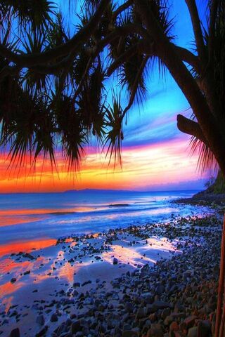 Coast Sunset