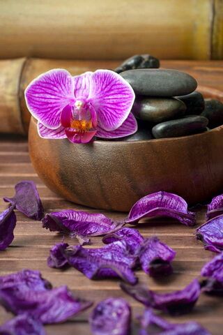 Tranquil Oasis: A Spa Retreat 🌸🪨