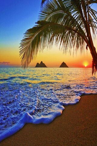 Golden Horizon: Embraci..