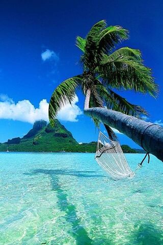 Tropical Bliss: A Slice..