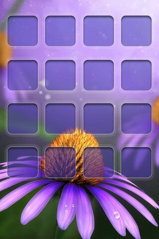 Blooming Beauty: A Purple Floral Delight 🌸✨