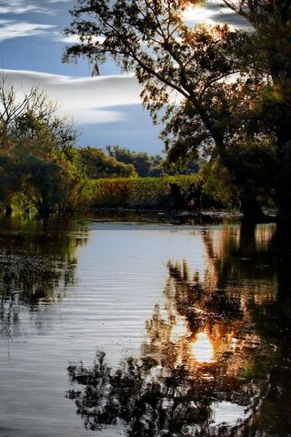 Serenity at the Danube Delta 🌅