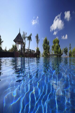 Tranquil Oasis Escape 🌴💦