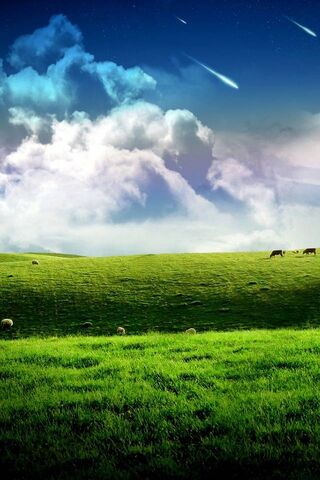 Celestial Dreams: A Night of Shooting Stars 🌌✨