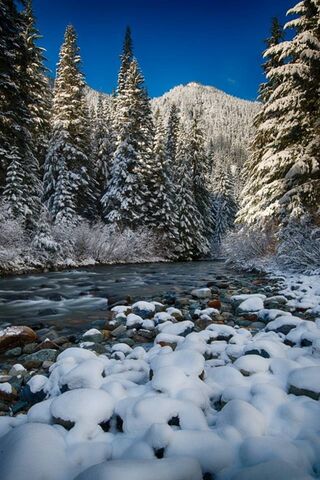 Winter Wonderland: A Serene Escape ❄️🏞️