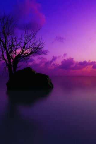 Mystical Purple Waters 🌅💜