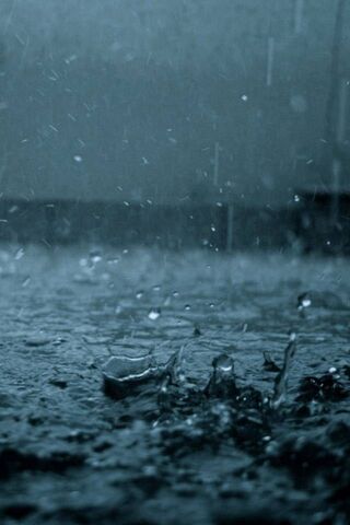 Dancing Drops: A Symphony of Rain