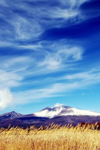 Mountain