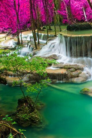 Enchanted Serenity: The Cascading Waterfall