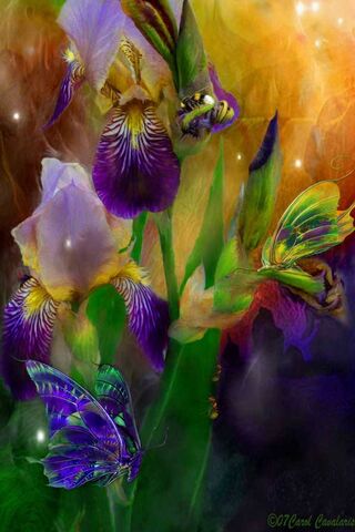 Iris-Butterfly Wallpaper - Download to your mobile from PHONEKY