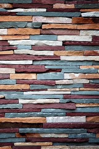 Nature's Mosaic: The Be..