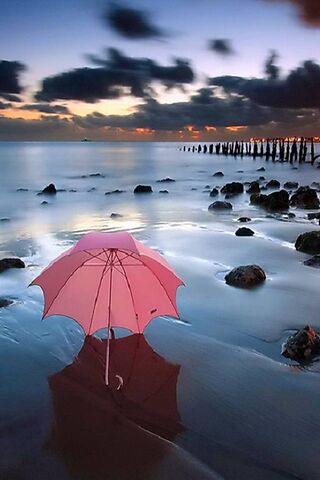 Solitary Shelter at Dusk 🌅