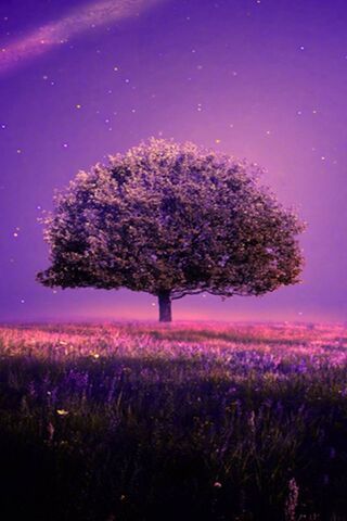 Enchanted Twilight 🌌🌳