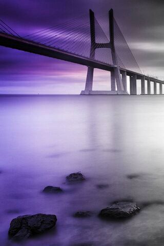 Journey Beyond the Horizon 🌅