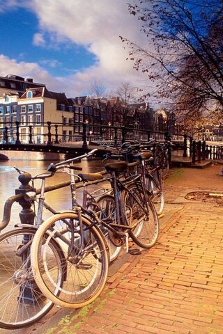 Bicycles by the Canals: A Slice of Amsterdam Life 🚲🌊