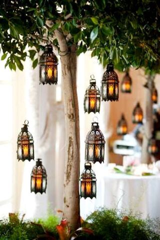 Hanging Lamps