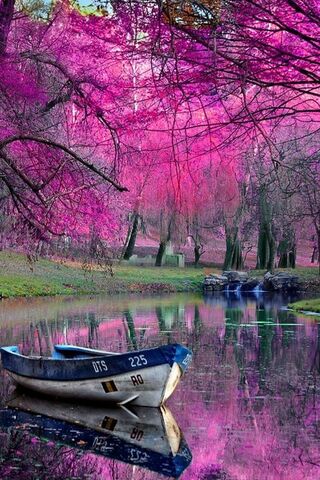 Autumn's Enchanted Reflection 🍂✨