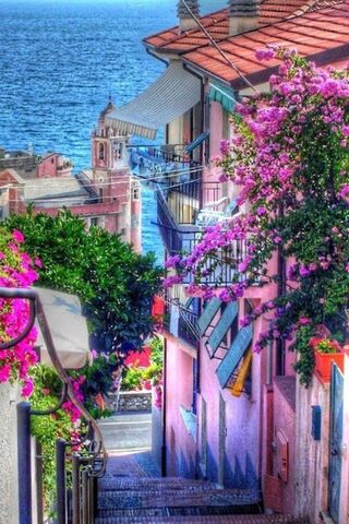 Stairway to Serenity 🌸🌊