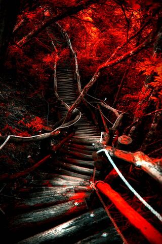 Crimson Journey: The Enchanted Descent 🌲🌌