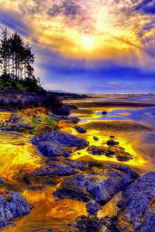 Golden Dawn by the Shore 🌅✨