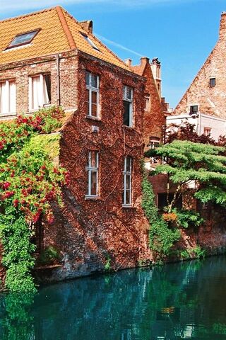Charming Canals of Bruges 🌷🏰