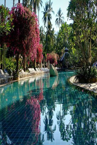 Tropical Oasis: Serenity by the Pool 🌴💦