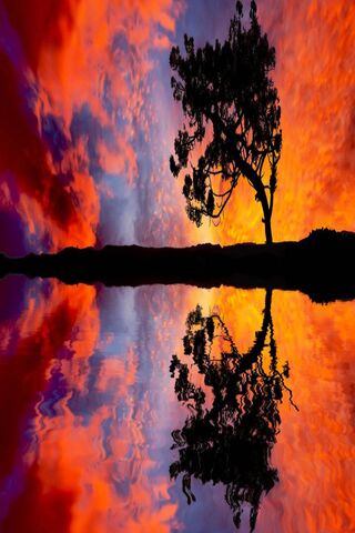 Sunset Serenity: Nature's Canvas 🎨🌅