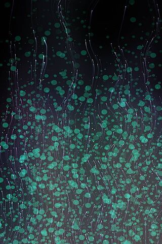 Journey Through the Depths 🌊✨