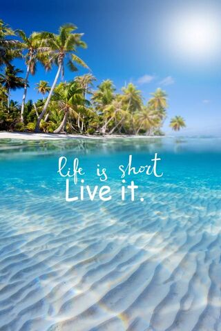 Embrace Every Moment 🌊✨