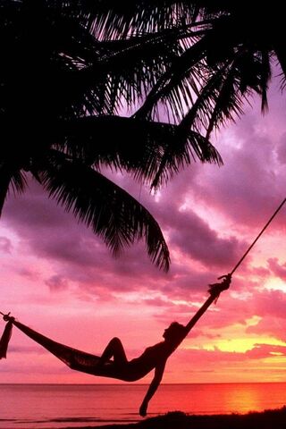 Serenity at Sunset 🌅