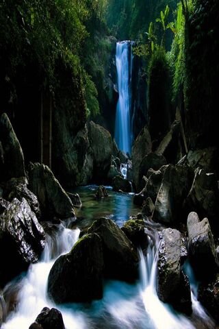 Serenity Falls: Nature'..