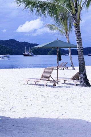 Serenity at Plage: A Tropical Escape 🌴🌊