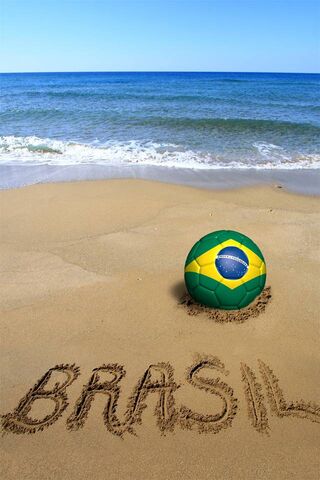ब्राज़ील 2014