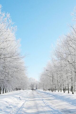Winter Wonderland: A Se..