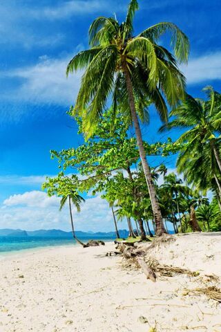 Paradise Awaits: A Tropical Escape 🌴🌊