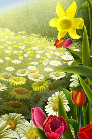Blooming Beauty: A Flor..