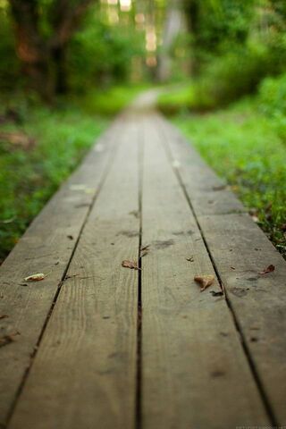Nature's Pathway: The W..