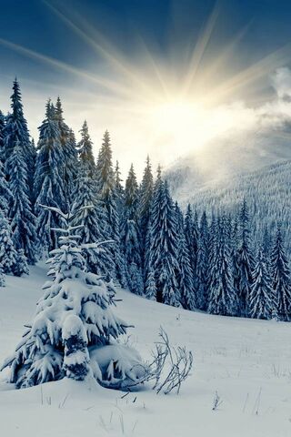 Radiant Chill: Embracing the Winter Sun ☀️❄️