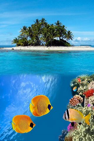Paradise Awaits: A Tropical Escape 🌴🌊