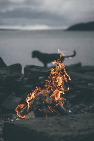 Fire