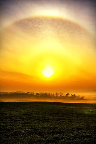 Golden Horizon: Nature's Evening Canvas