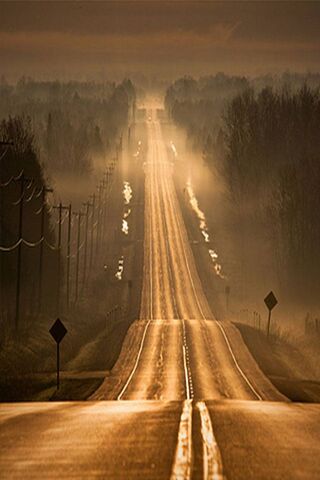 Journey Through the Mist 🌫️🚗