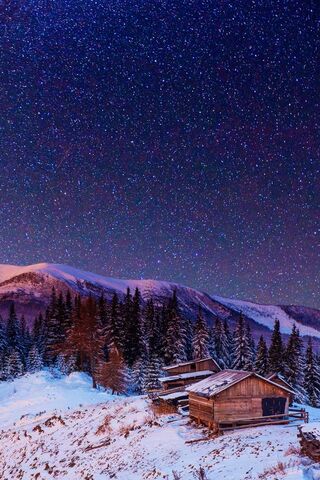 Whispers of the Night Sky 🌌✨