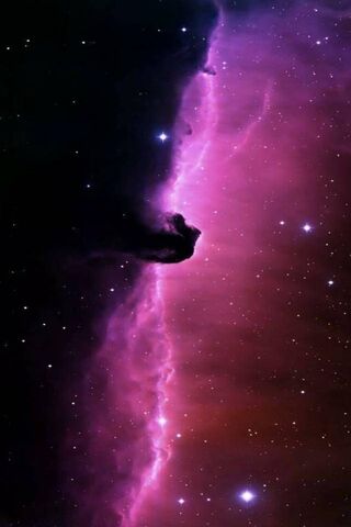 Cosmic Dreams: A Journey Through the Stars ✨🌌