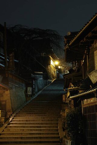 Serenity in the Shadows: A Night in Kyoto